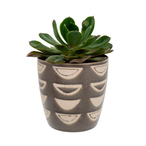 Vases + Ceramics - Luna Pot - FULLHOUSE Modern