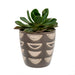 Vases + Ceramics - Luna Pot - FULLHOUSE Modern