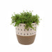 Vases + Ceramics - Doodle Pot - FULLHOUSE Modern