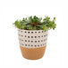 Vases + Ceramics - Doodle Pot - FULLHOUSE Modern