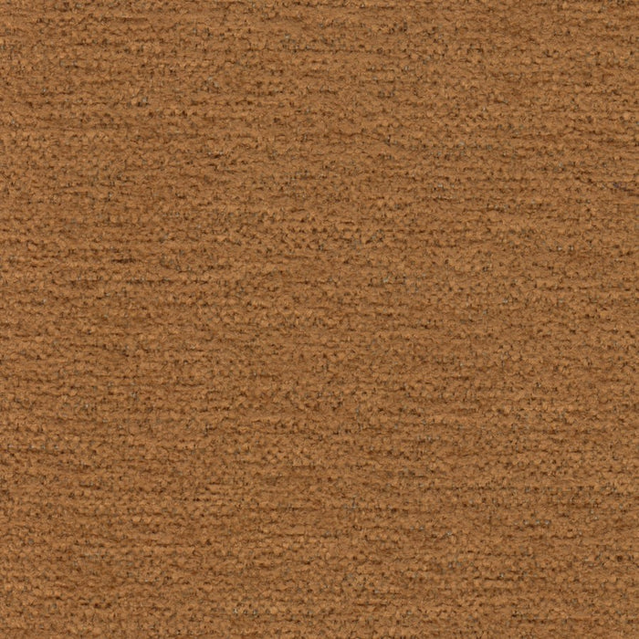 Wolfgang Dining Arm Chair