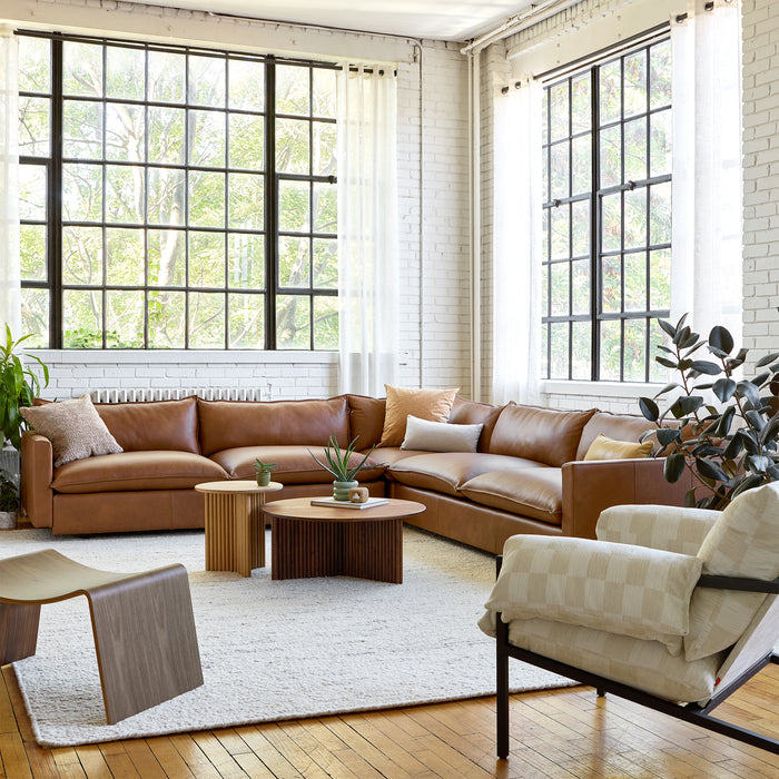 Sola Bi-sectional