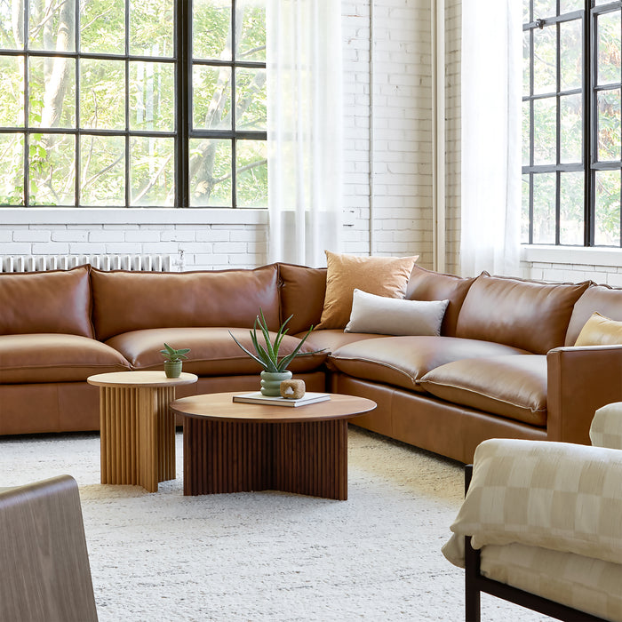 Sola Bi-sectional