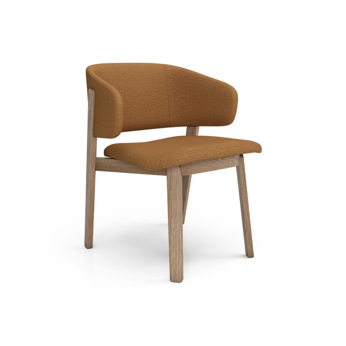 Wolfgang Dining Arm Chair